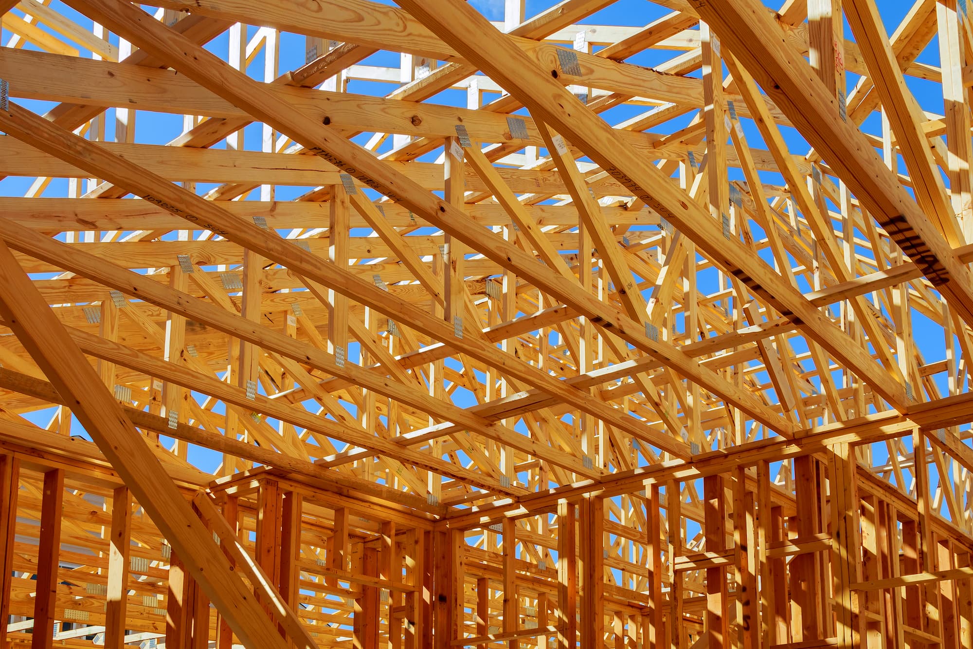 Maison ossature bois : comment se passe concr&egrave;tement le montage sur chantier ? S&eacute;lestat